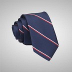 Striped Navy Blue Tie