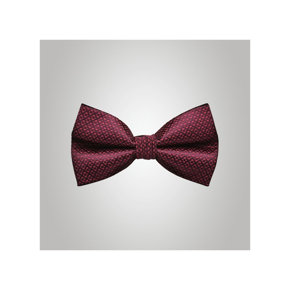 Noeud Papillon rouge motifs